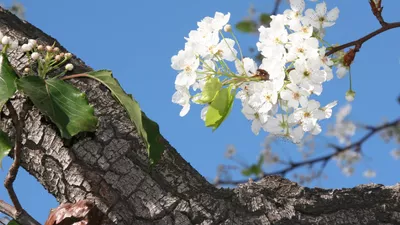 Vremea, vineri 24 aprilie. Temperaturile încep să crească, dar ploile nu se dau duse