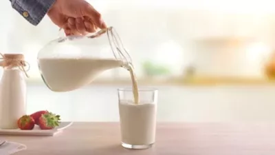 Fermierii români vând laptele sub prețul pieței. Peste 1.500 de vaci au fost trimise la abator