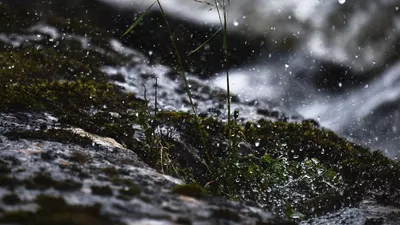Vremea, 17 mai: Temperaturile scad brusc și aduc ploi abundente