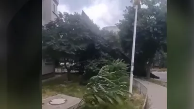 Avertizare meteo. Cod galben de vânt puternic în mai multe regiuni ale țării