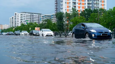 “Ne raportăm la criterii bine stabilite”. Cum răspunde șefa ANM acuzațiilor, că nu au existat fenomene de Cod roșu în București (VIDEO)
