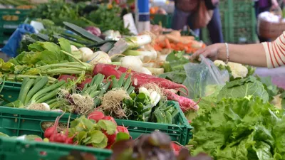 Județul care a devenit lider național la agricultură. Record la producția de legume și fructe