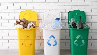 8 tipuri de coșuri pentru reciclare selectivă și sfaturi practice de folosire