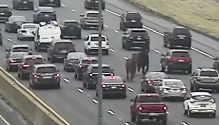 cai autostrada 