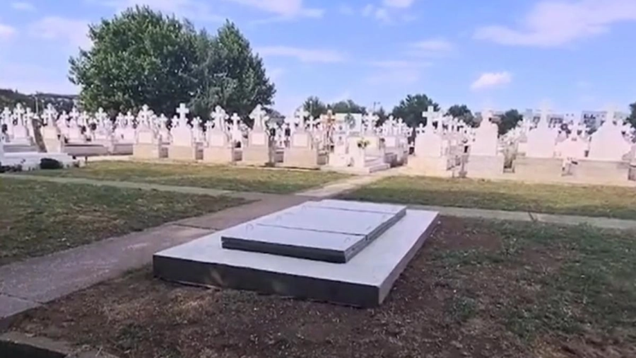 Imagini cu cavoul lui Ion Iliescu